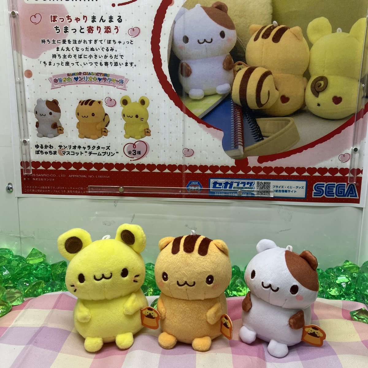 ❣本日の新景品❣ 『ゆるかわ #サンリオキャラクターズ』#ぽちゃちま