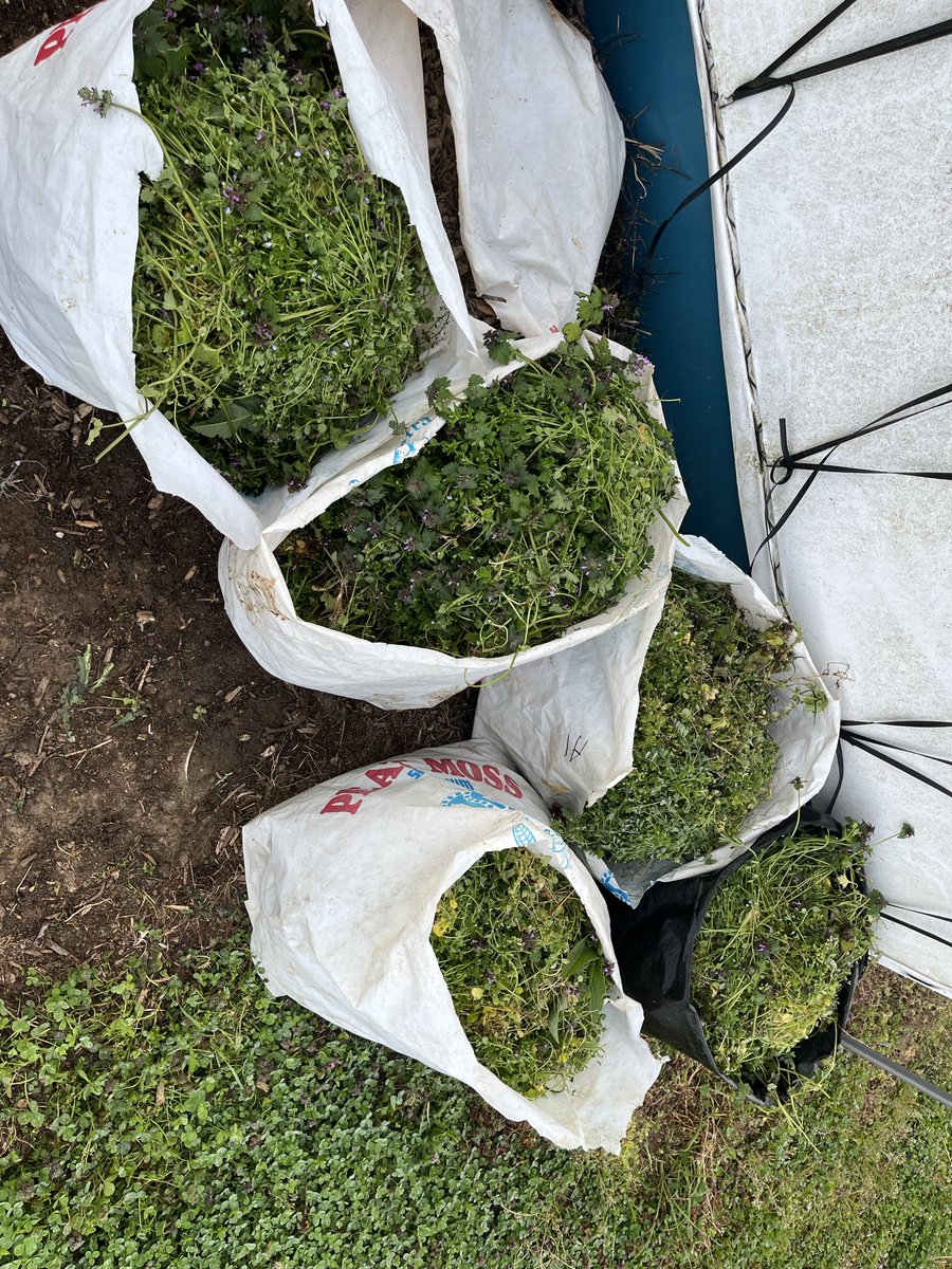 5JevGCf7Je75185's tweet image. 