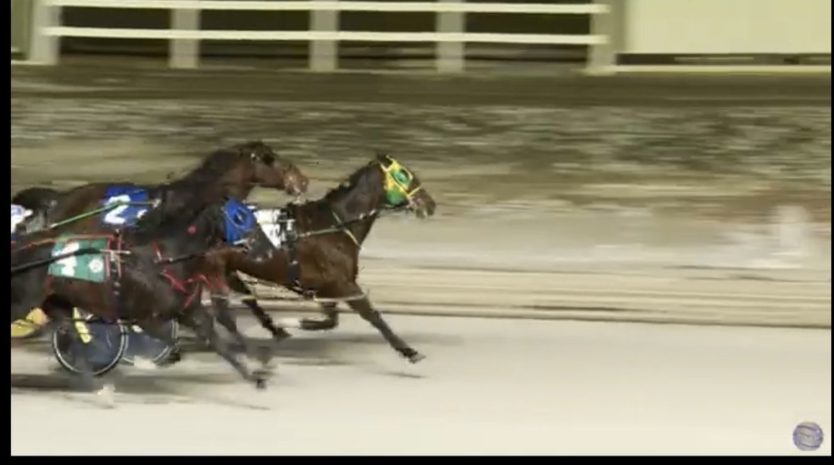 Renata Lumsden tweet media