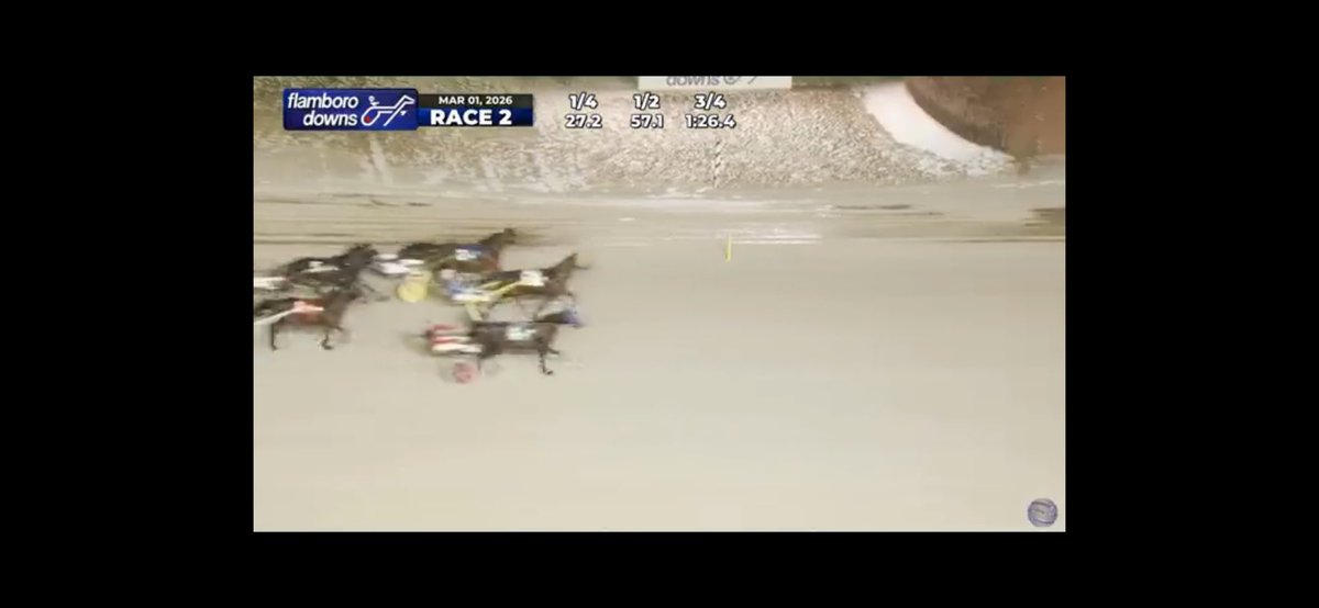 Renata Lumsden tweet media