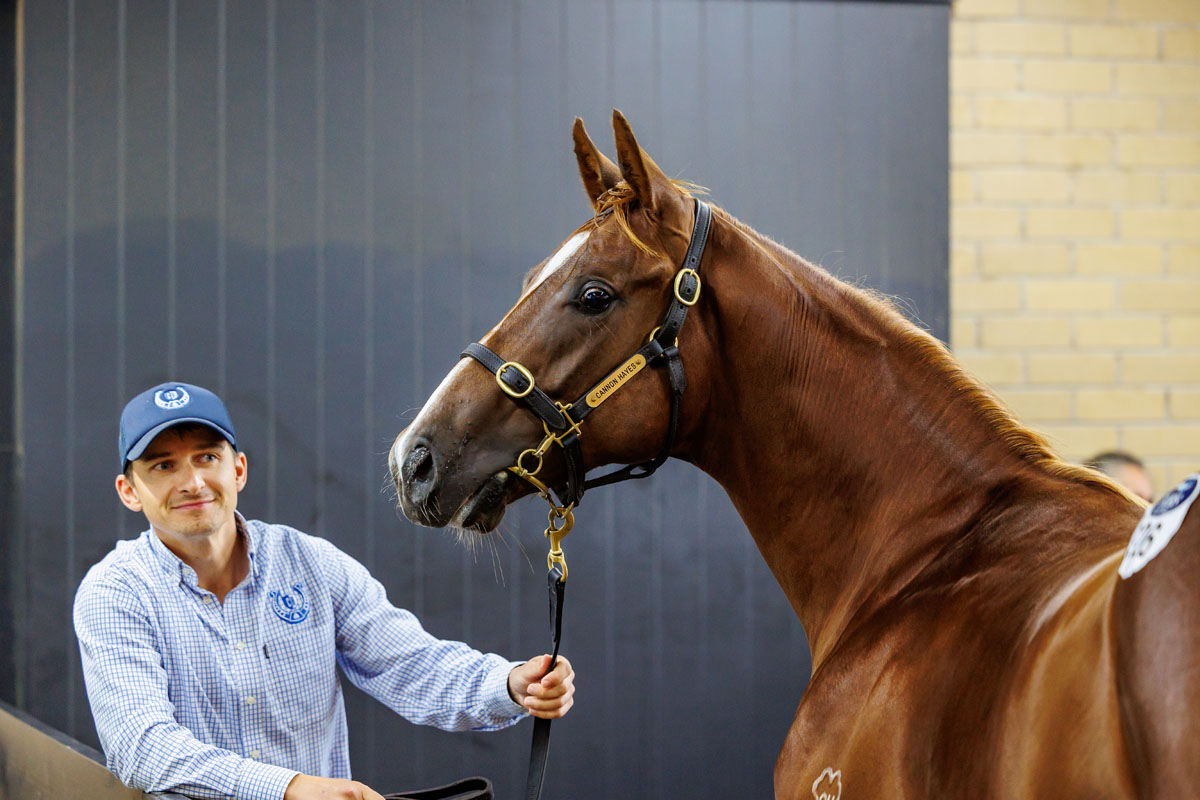 Cannon Hayes Stud tweet media