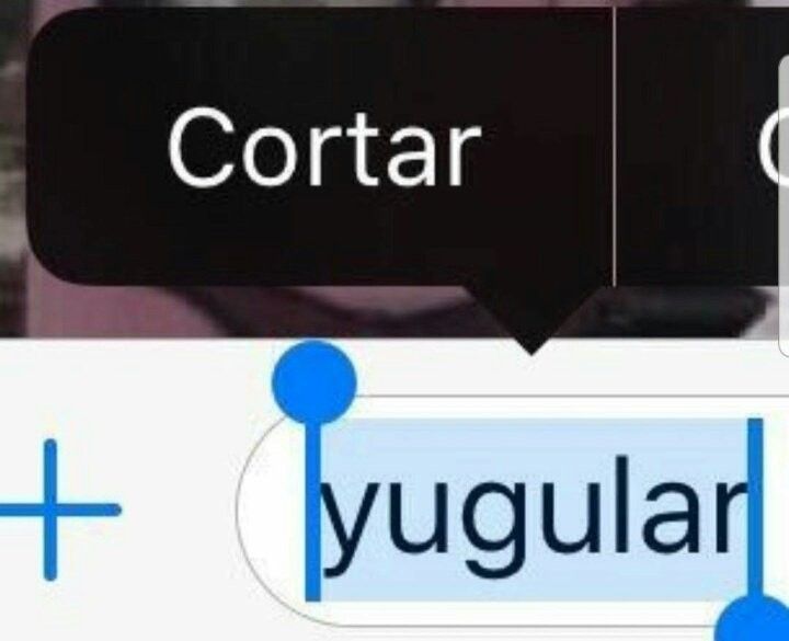 Yo creo que me da risa ver a gente celosa porque yo no soy celosa, pero si lo fuera explotaría