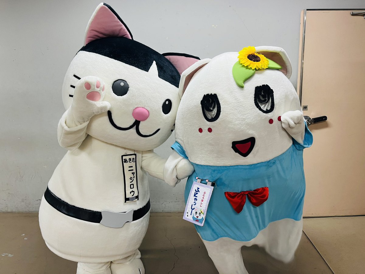 ニャジロウ（にゃまはげ仮面ニャッパゲ） (@nyappage) / Posts / X