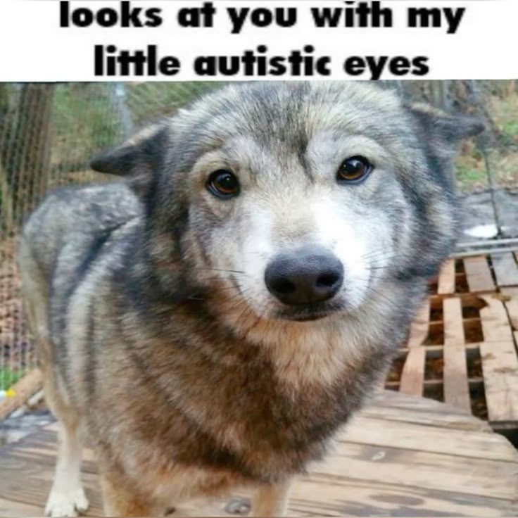 Timothy Stoker of shedtwt tweet media