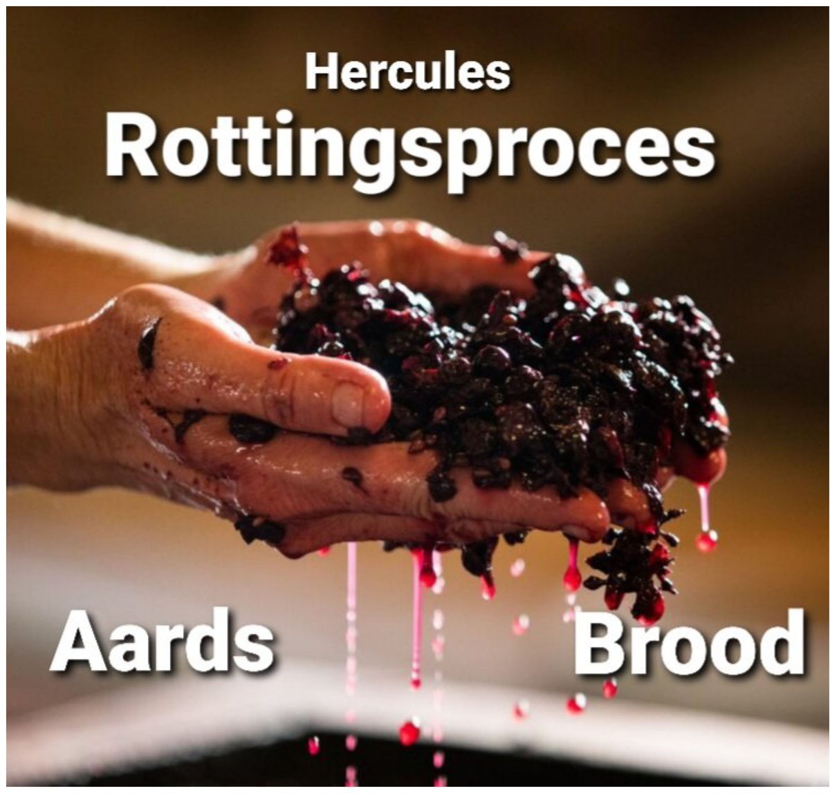 Nederland huisvest het meest achterlijke volk op deze aardkloot.

Bakkeleien over bloembollen en uitwassen, onder de paraplu van Lofar Nature 🙈

Er is niet 1 weldenkend gezin dat zijn zaad &amp; eicellen in de venijnboom van de communist zal hangen.

#DeltaPULS
#Hotspots
The Dome of