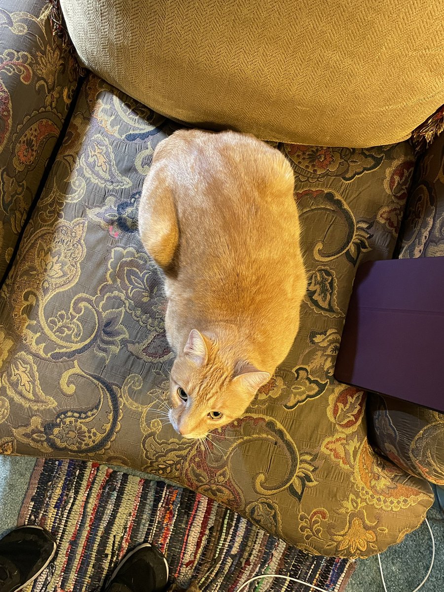 abrunelle tweet media