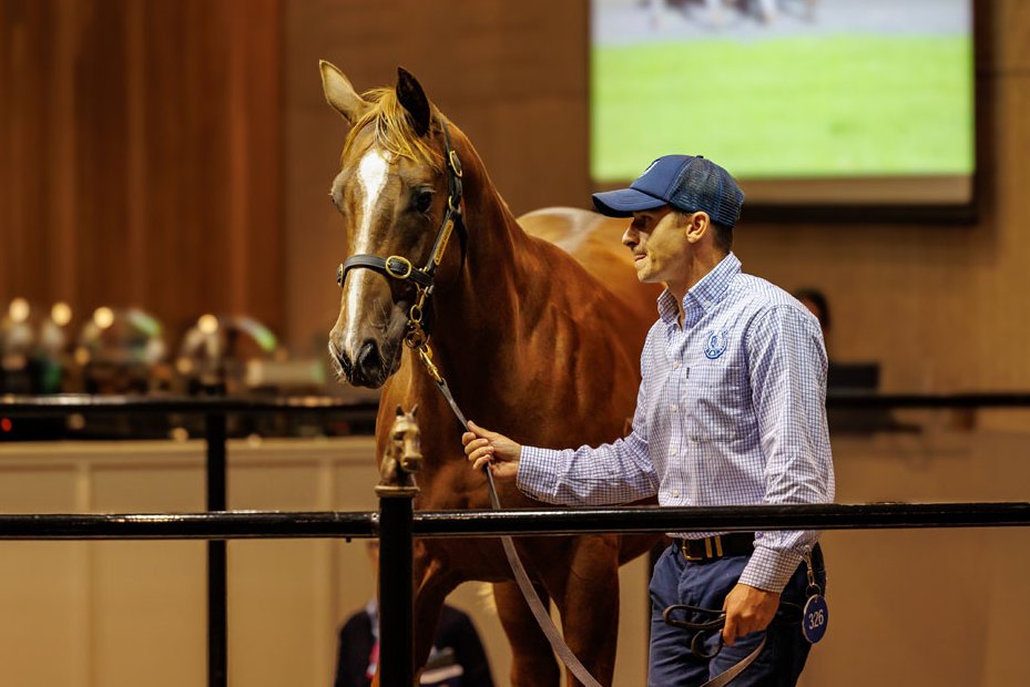 Cannon Hayes Stud tweet media