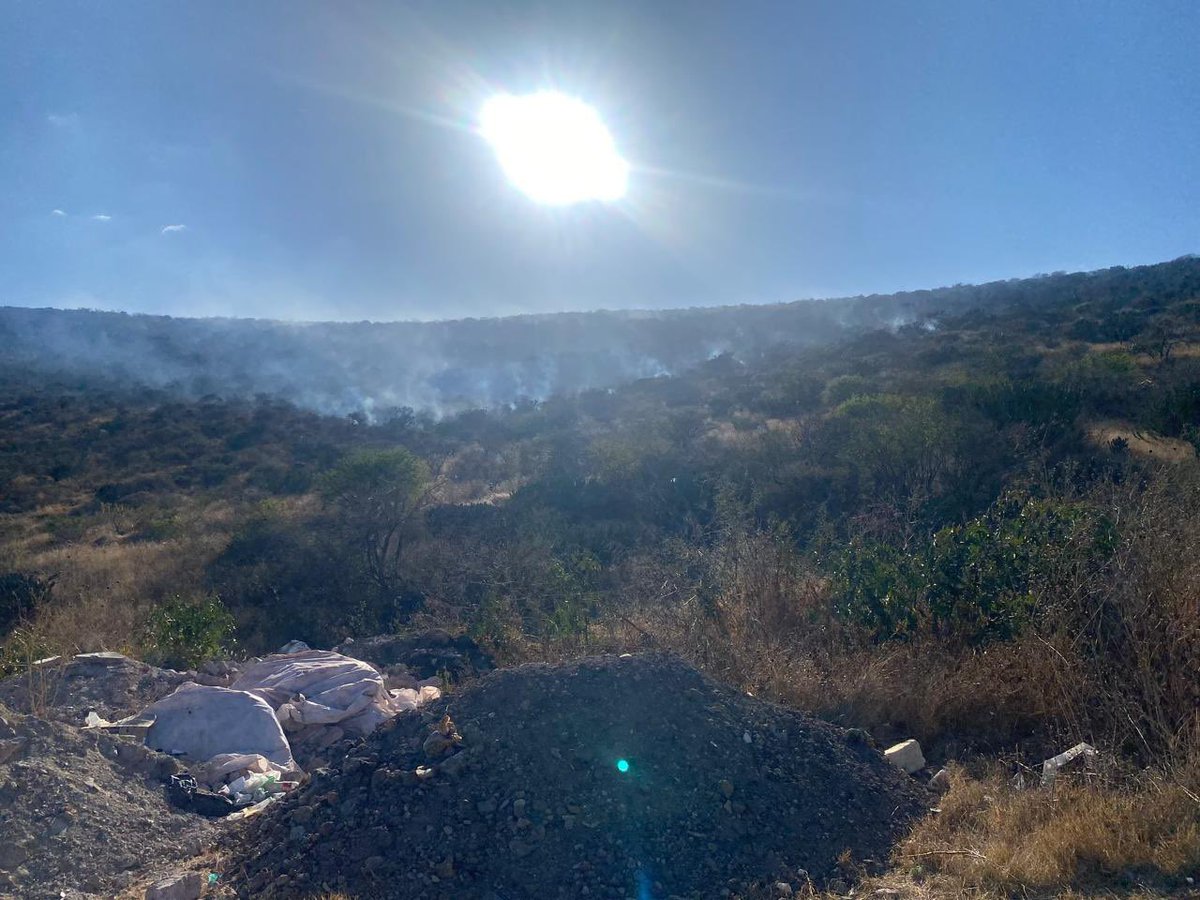 SedeaQro's tweet photo. Gracias a la pronta respuesta de nuestras Brigadas Forestales del @gobqro, se atendió con éxito el reporte de incendio en la zona de Puerto de Aguirre, Qro. 
Si detectas fuego o columnas de humo, no lo ignores.
📞 Reporta de inmediato al 911 o al 
442 286 2686. #SEDEA https://t.co/x6t6LaFcbY