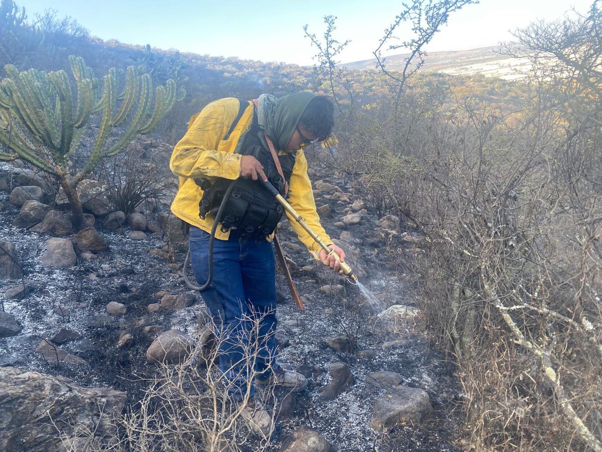 SedeaQro's tweet photo. Gracias a la pronta respuesta de nuestras Brigadas Forestales del @gobqro, se atendió con éxito el reporte de incendio en la zona de Puerto de Aguirre, Qro. 
Si detectas fuego o columnas de humo, no lo ignores.
📞 Reporta de inmediato al 911 o al 
442 286 2686. #SEDEA https://t.co/x6t6LaFcbY