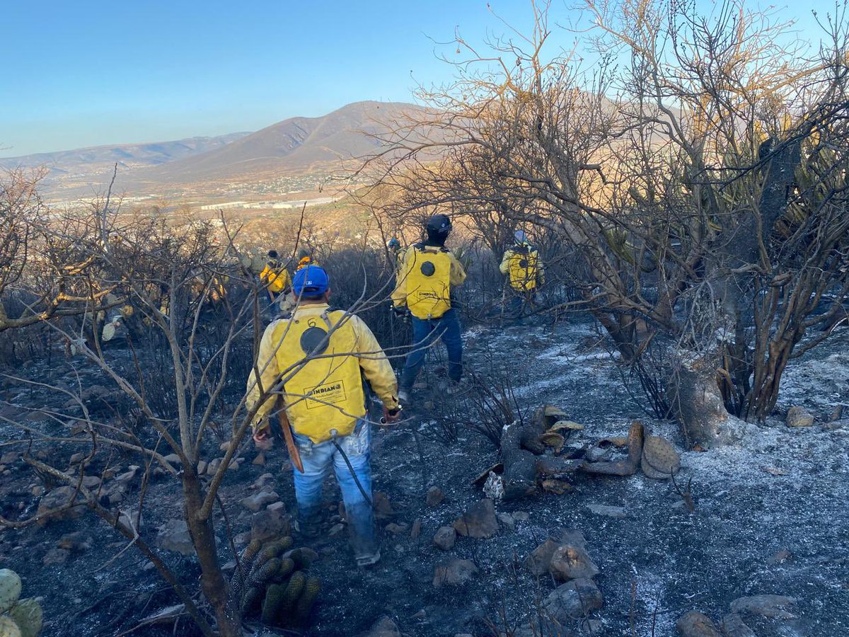 SedeaQro's tweet photo. Gracias a la pronta respuesta de nuestras Brigadas Forestales del @gobqro, se atendió con éxito el reporte de incendio en la zona de Puerto de Aguirre, Qro. 
Si detectas fuego o columnas de humo, no lo ignores.
📞 Reporta de inmediato al 911 o al 
442 286 2686. #SEDEA https://t.co/x6t6LaFcbY