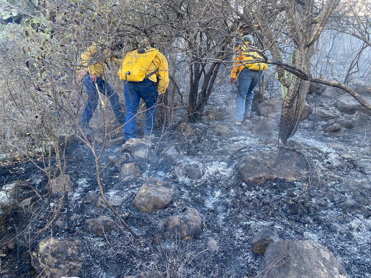 SedeaQro's tweet photo. Gracias a la pronta respuesta de nuestras Brigadas Forestales del @gobqro, se atendió con éxito el reporte de incendio en la zona de Puerto de Aguirre, Qro. 
Si detectas fuego o columnas de humo, no lo ignores.
📞 Reporta de inmediato al 911 o al 
442 286 2686. #SEDEA https://t.co/x6t6LaFcbY