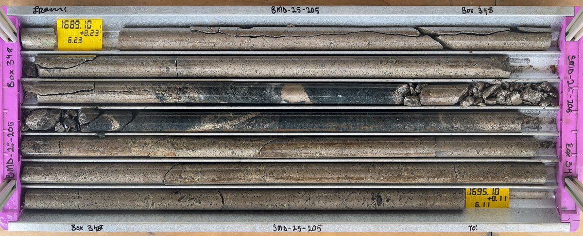 NexMetals Mining Corp. tweet media