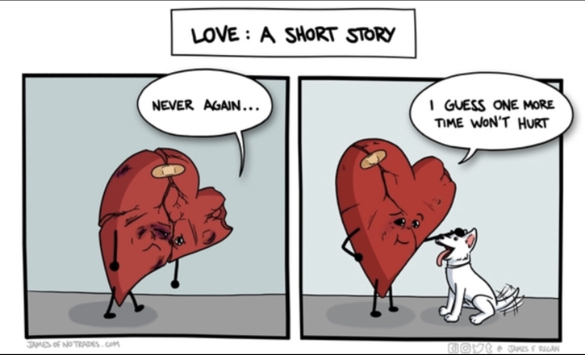 carol l. meyers ☮️ tweet media