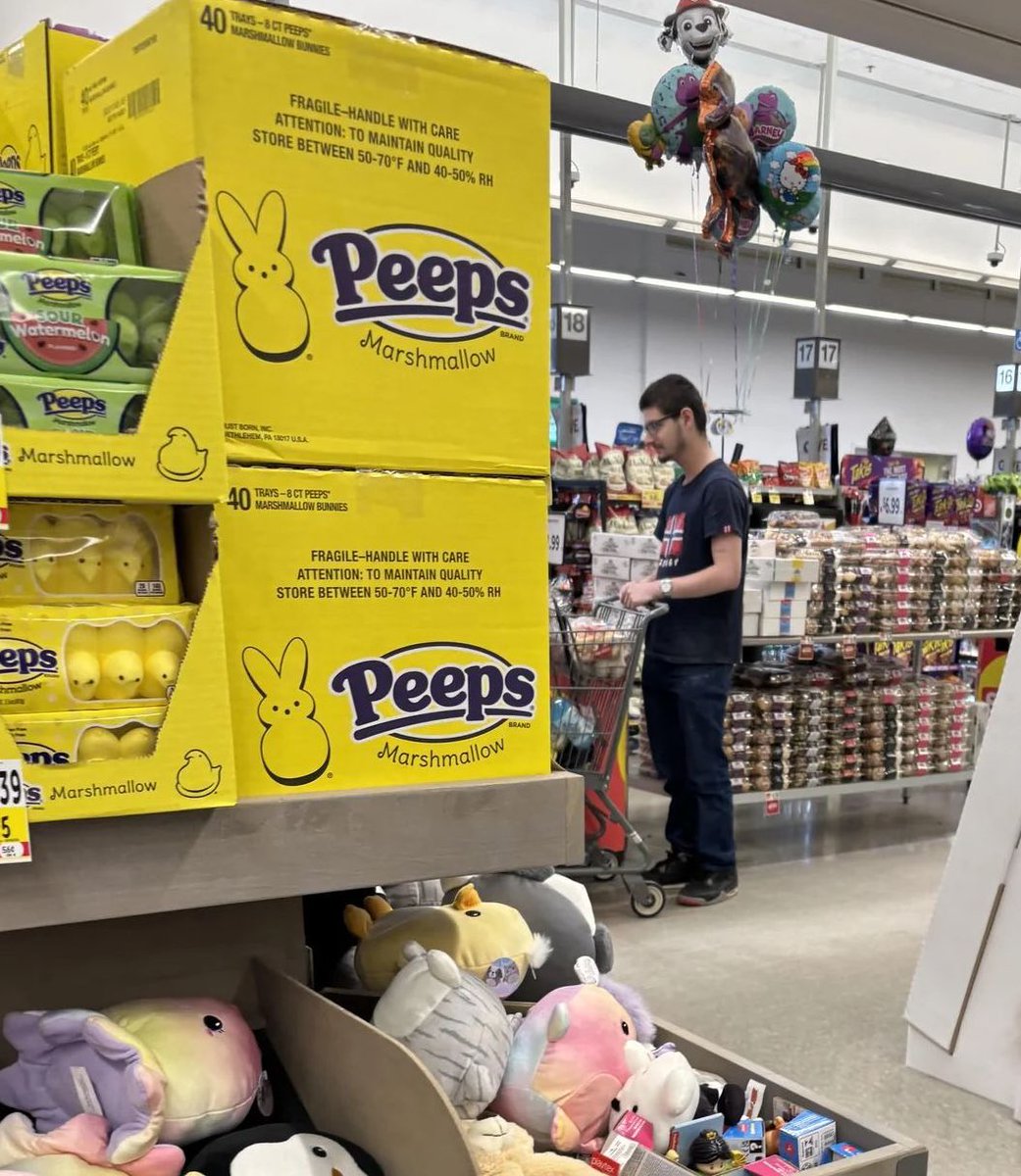 PartiKing tweet media