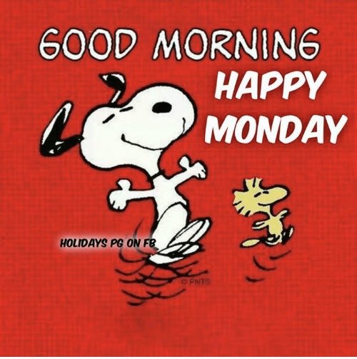 snoopy and friends tweet media