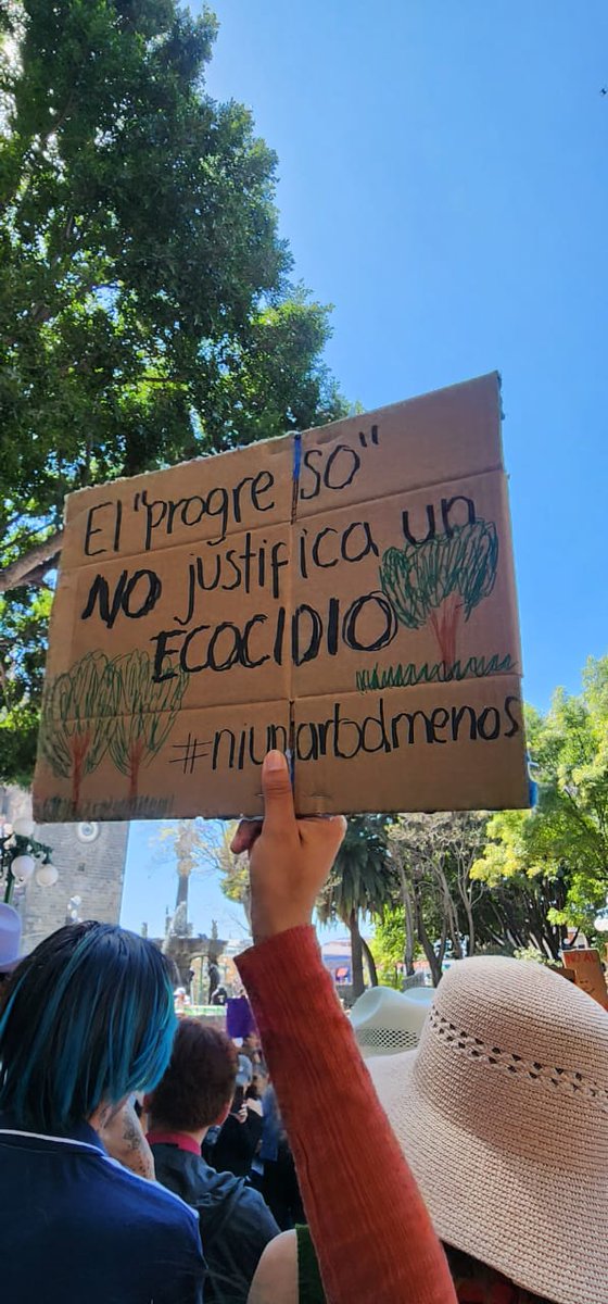 Info Quórum tweet media