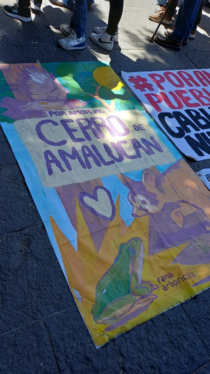 Info Quórum tweet media