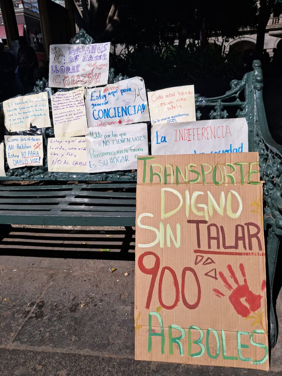 Info Quórum tweet media