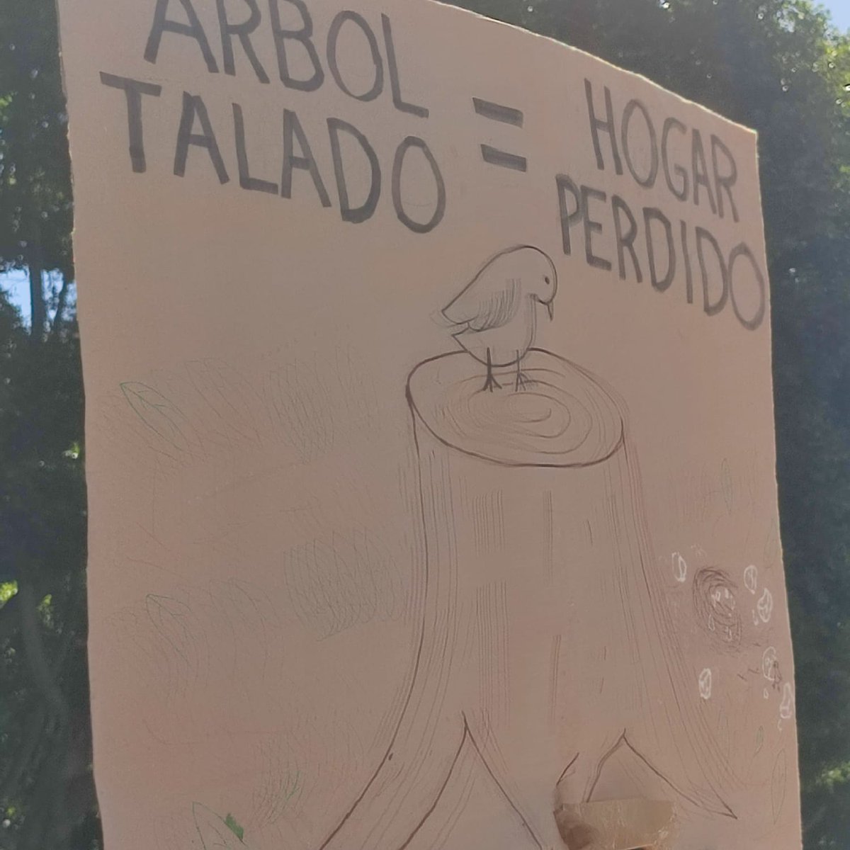 Info Quórum tweet media