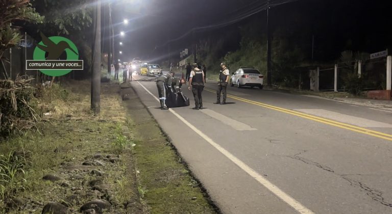 Eco / Amazonico tweet media