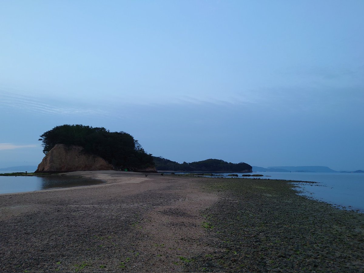 さーや tweet media