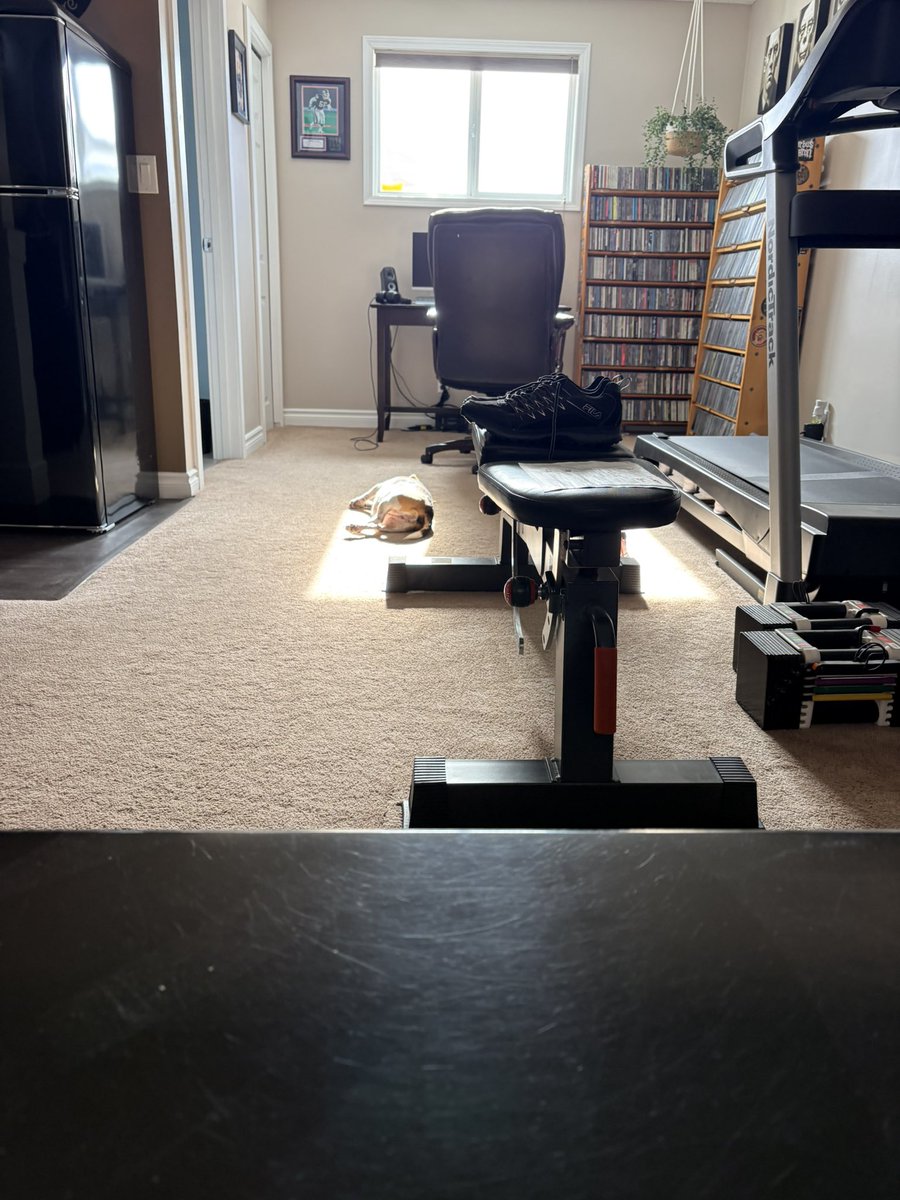 Wink🇨🇦 tweet media