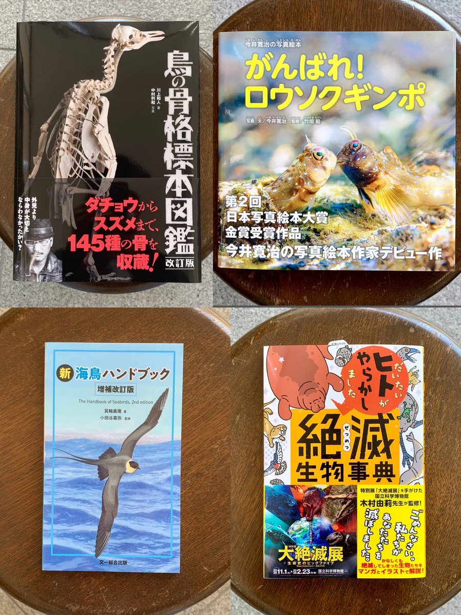 SAKANA BOOKS（サカナブックス）｜サカナに特化した本屋𓆝𓆟𓆜𓆞𓆡