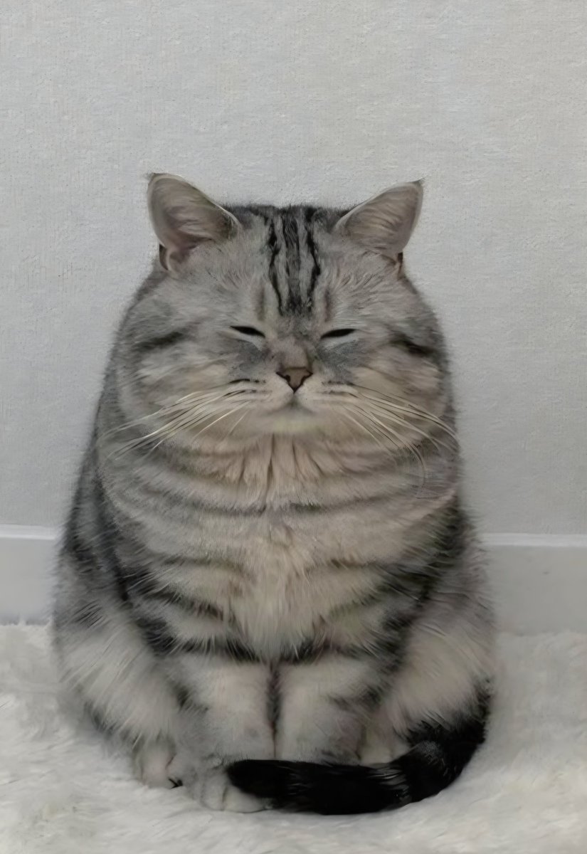 죽탱이네 tweet media