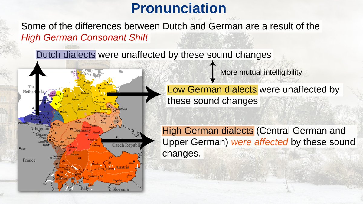 Langfocus Paul 🪬 tweet media