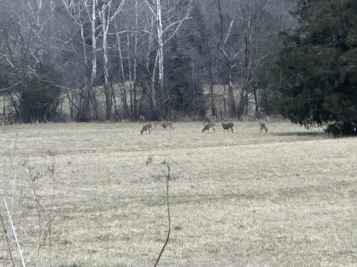 Michelle tweet media