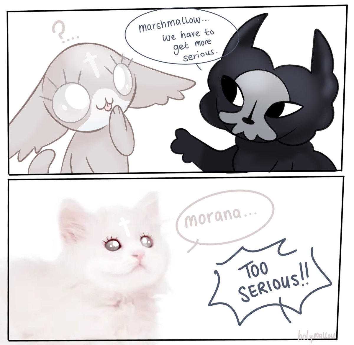 ʚ marshmallow ɞ tweet media