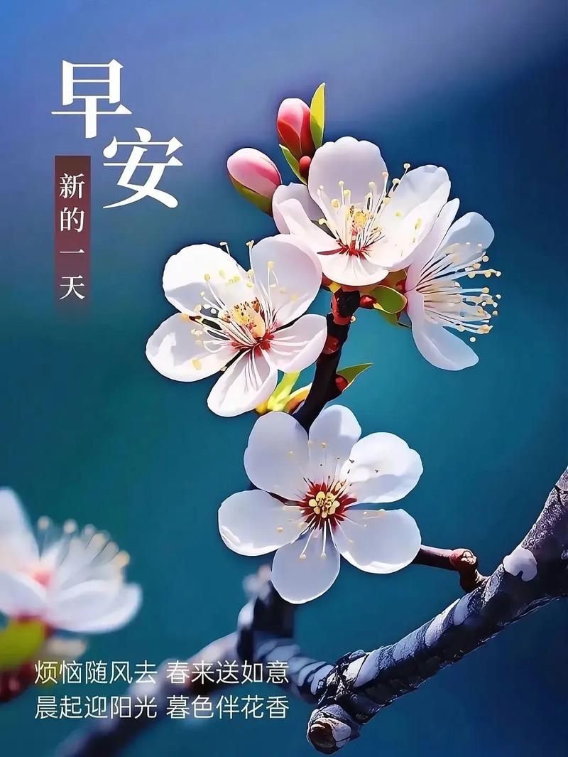 Hello world,hello Twitter, GM.

Follow me, I follow back for sure.

#蓝V互关