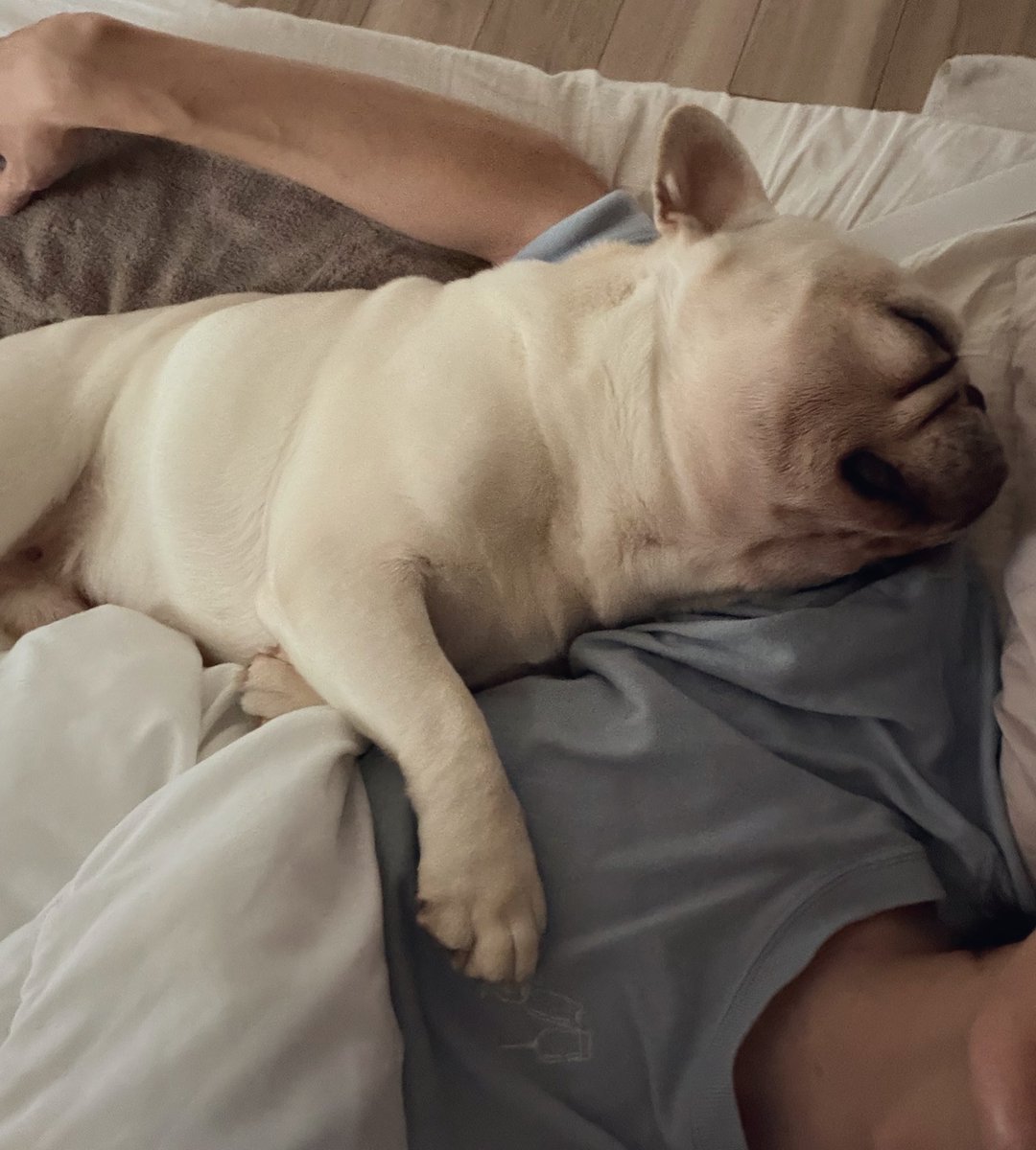 しゅーず(概念) tweet media