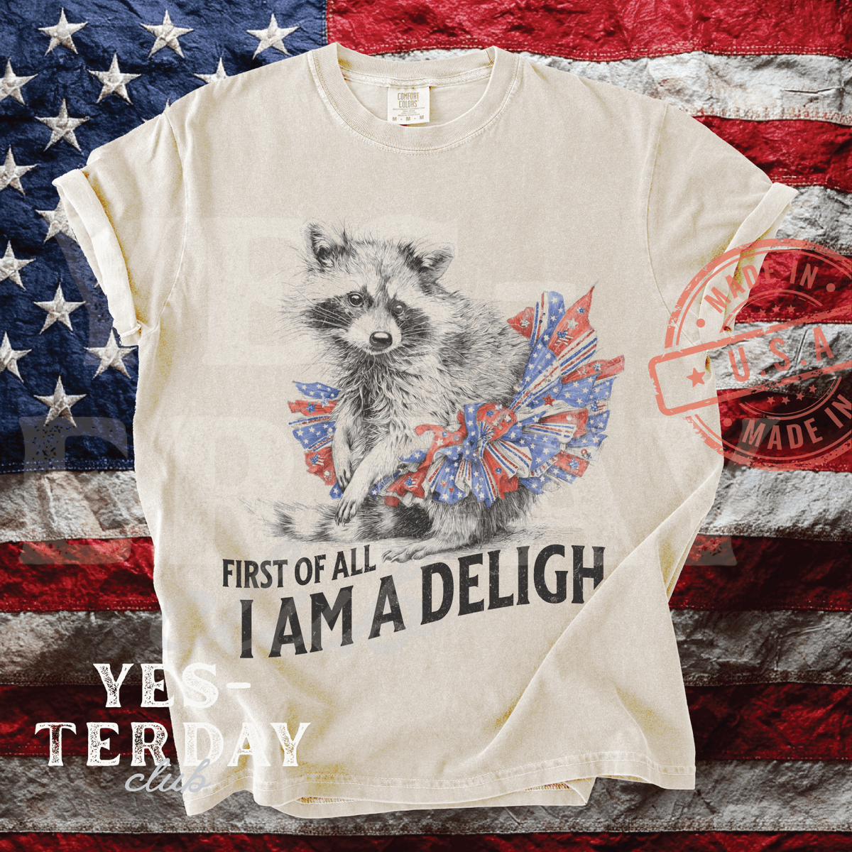 tem_temmax's tweet image. First of all, I am a delight! 🦝🇺🇸 Celebrate the 4th of July with this hilarious and patriotic raccoon in a tutu. 

Shop YesterdayClub: etsy.com/listing/444309…

#4thOfJuly #PatrioticRaccoon #FunnyShirts #USA #America250