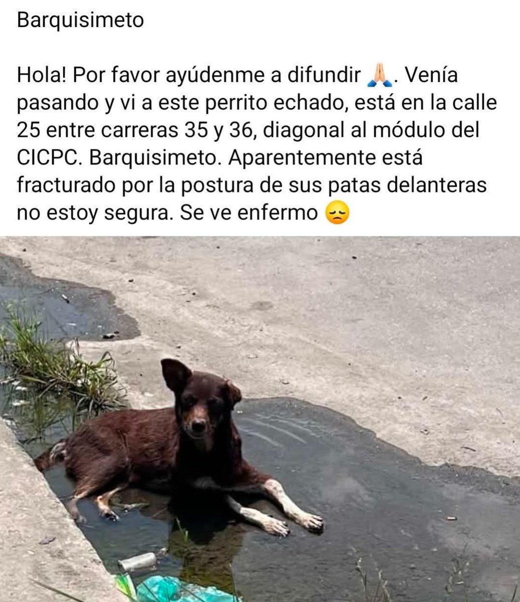 Atención Barquisimeto. URGE ayuda para este pequeño
