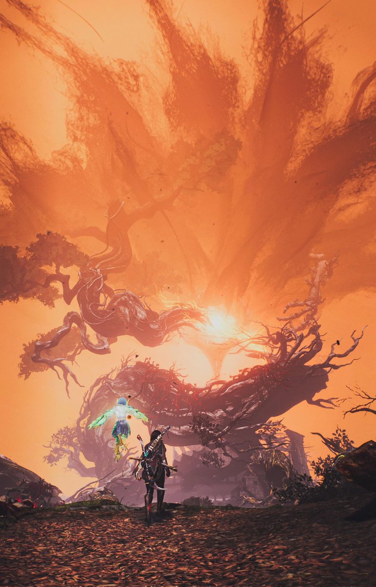 Virus6vp tweet media