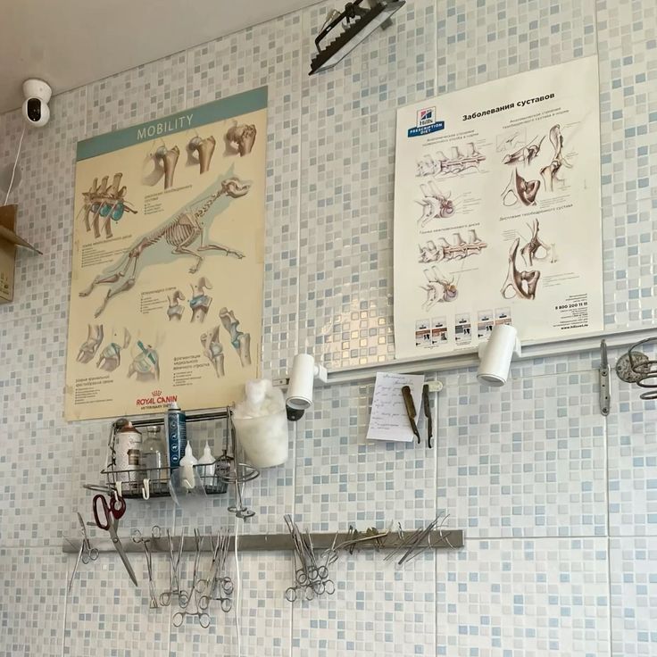 Gracie ׂׂૢ . hr smaus tweet media