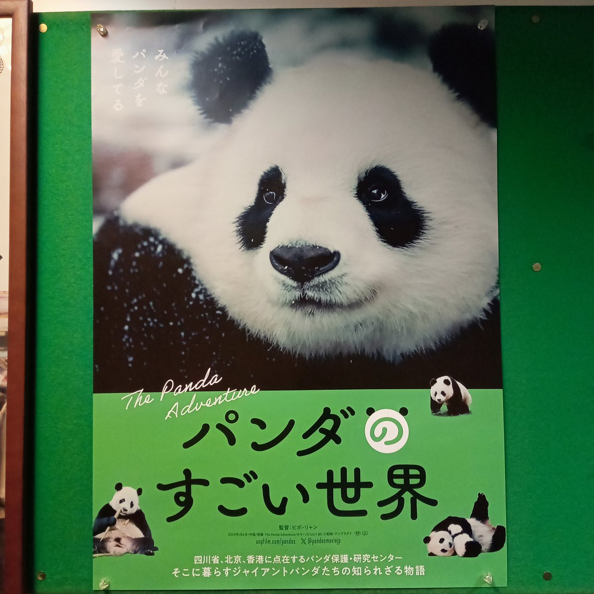 技術評論社パンダ部 (@gihyo_panda) / Posts / X