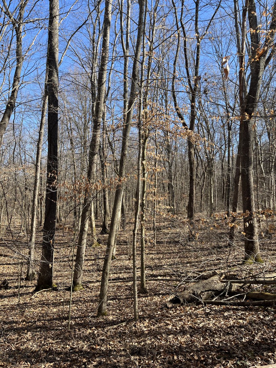 Christopher Davis tweet media