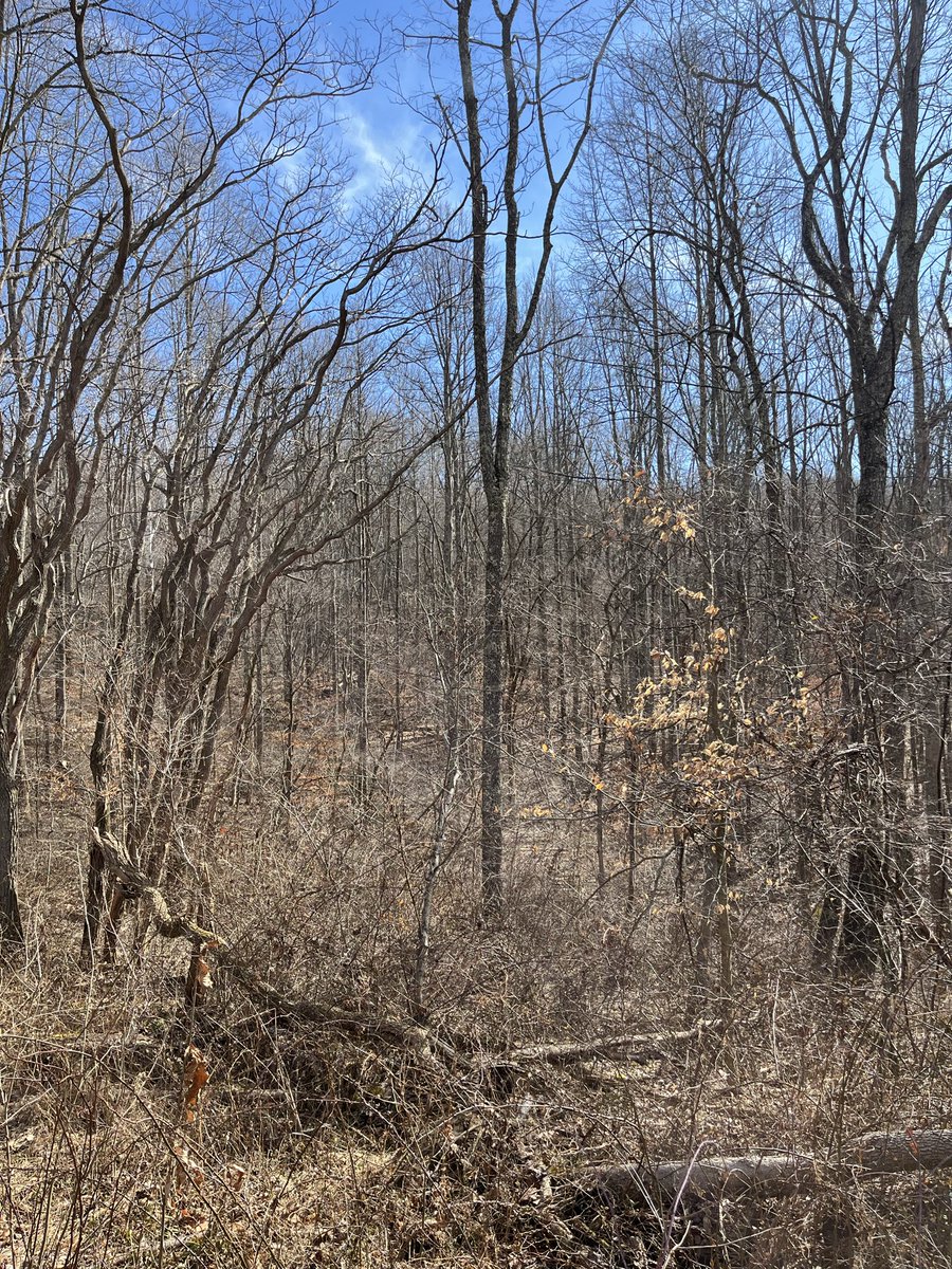 Christopher Davis tweet media