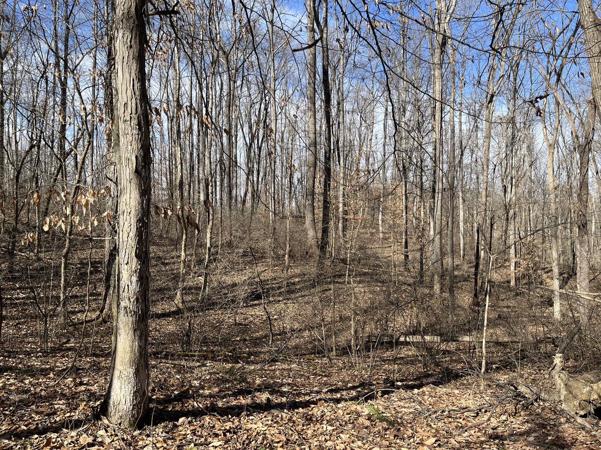 Christopher Davis tweet media