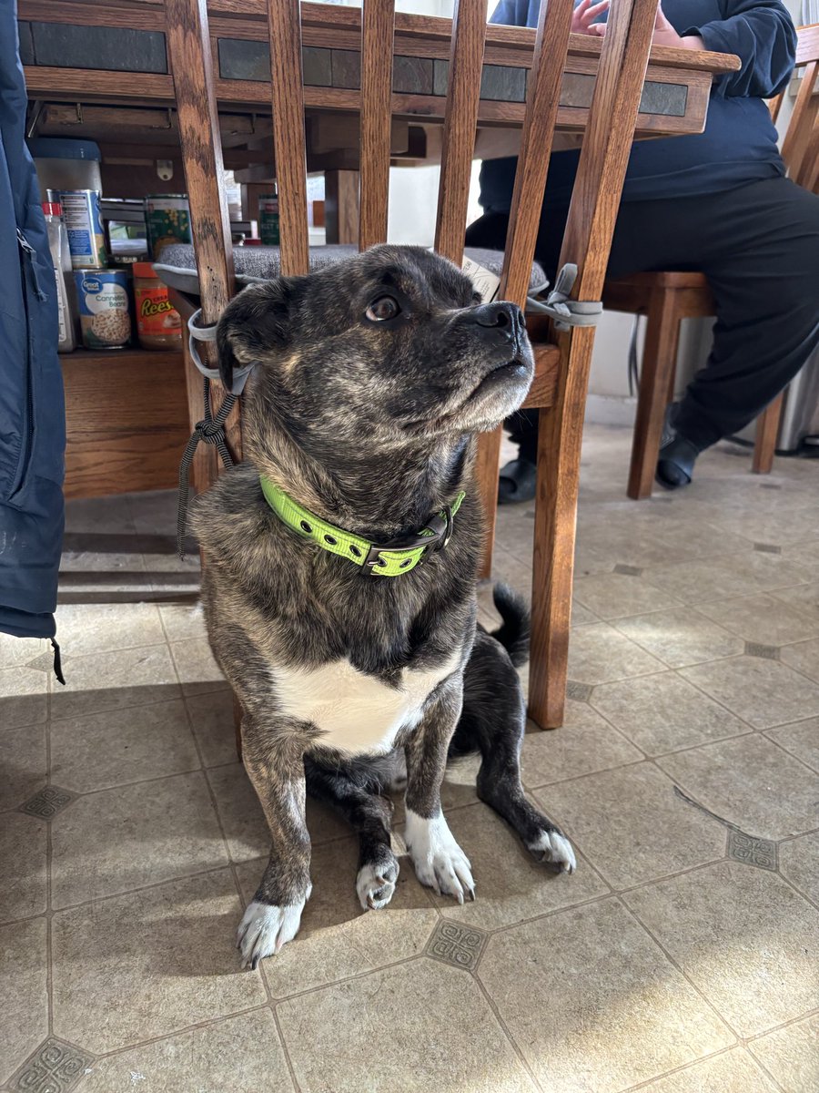 Ed McQue tweet media