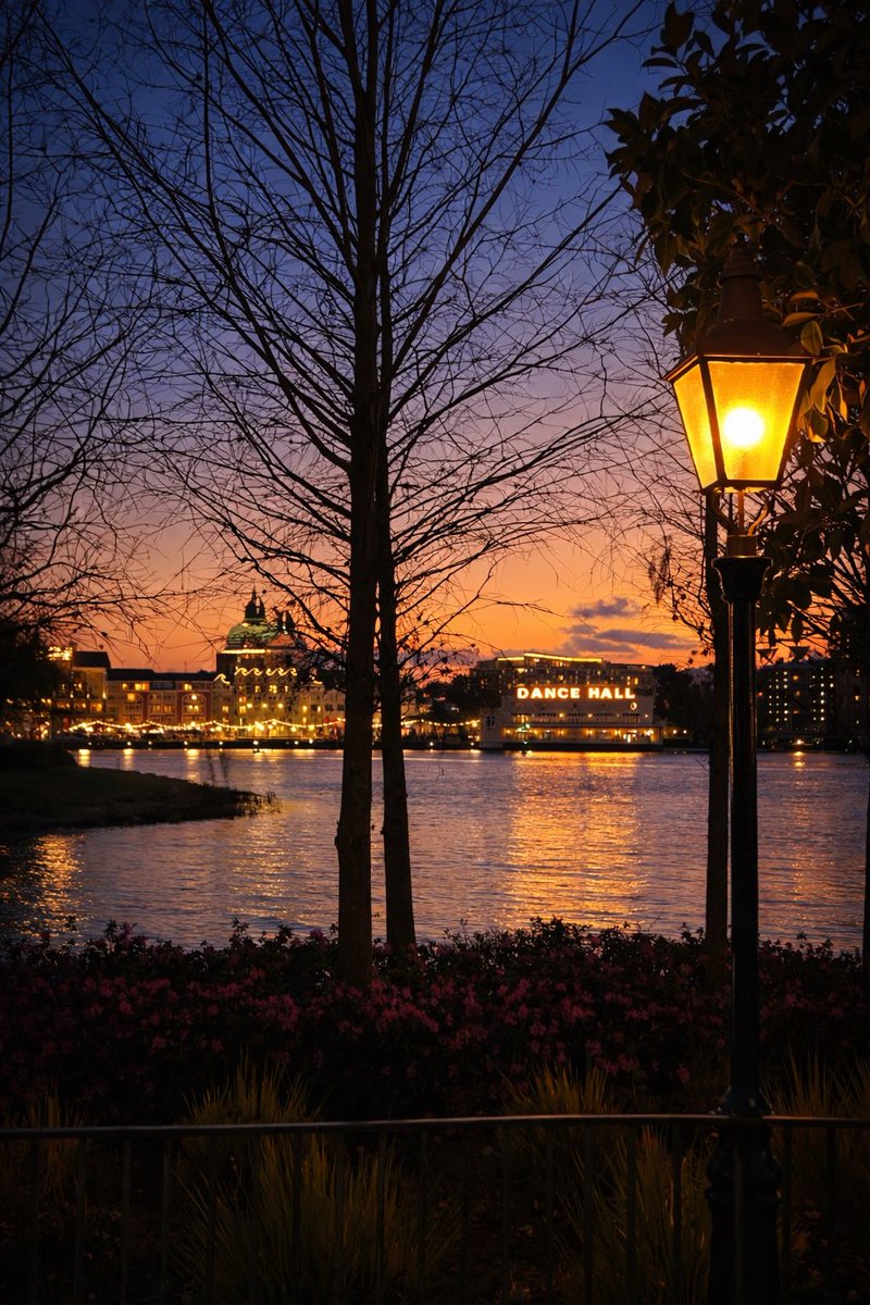 Adam from Price Hill tweet media