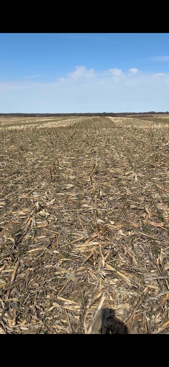 Gavin Spoor tweet media