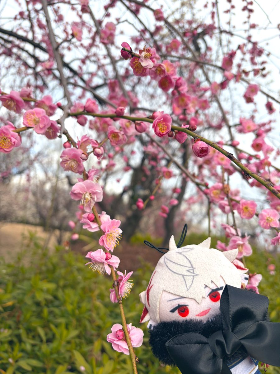 ゆちゃ tweet media