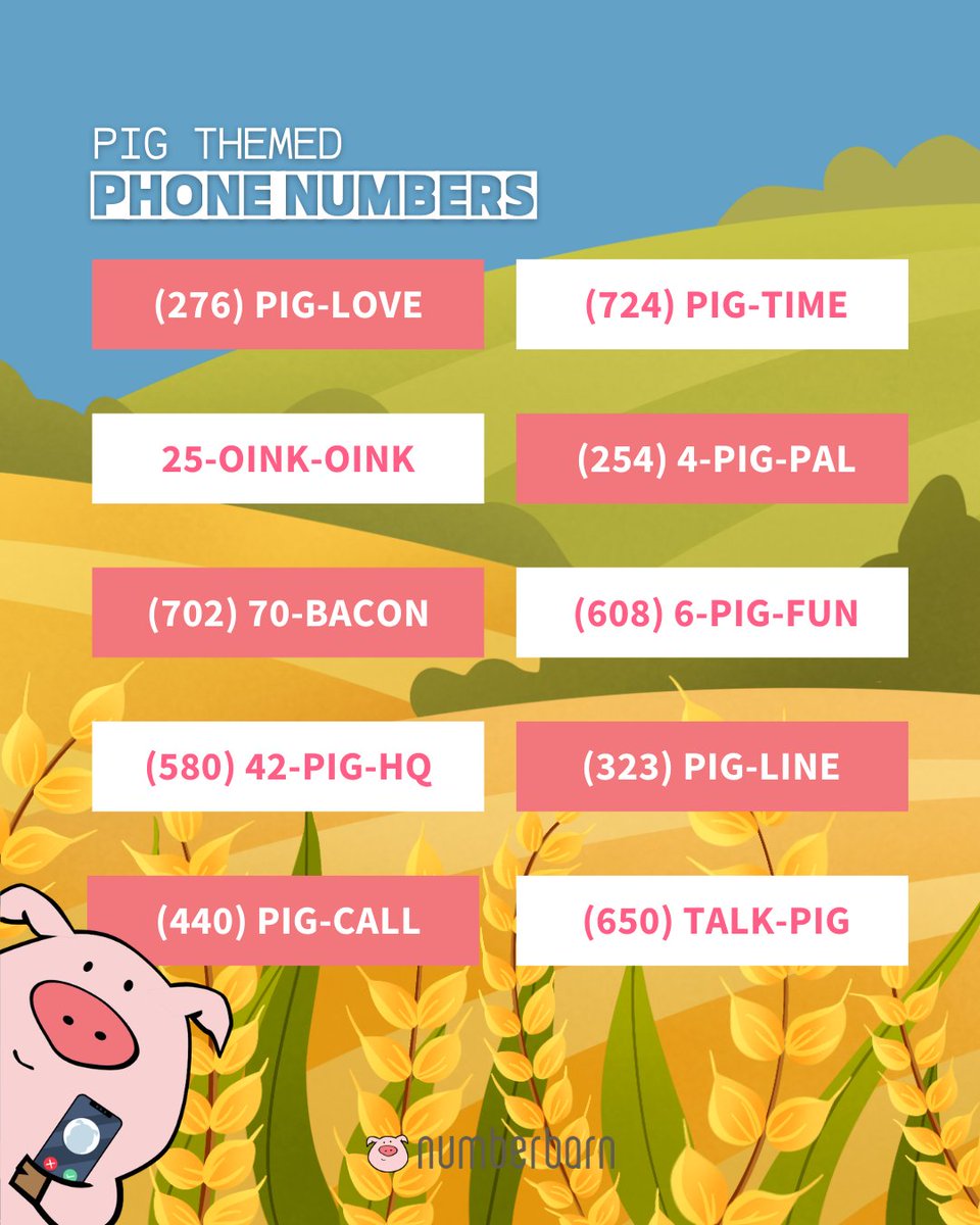 NumberBarn tweet media