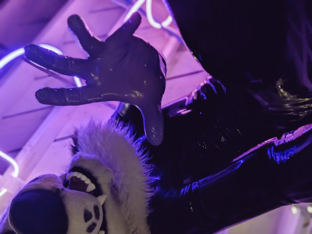 Leon Sus-ky tweet media