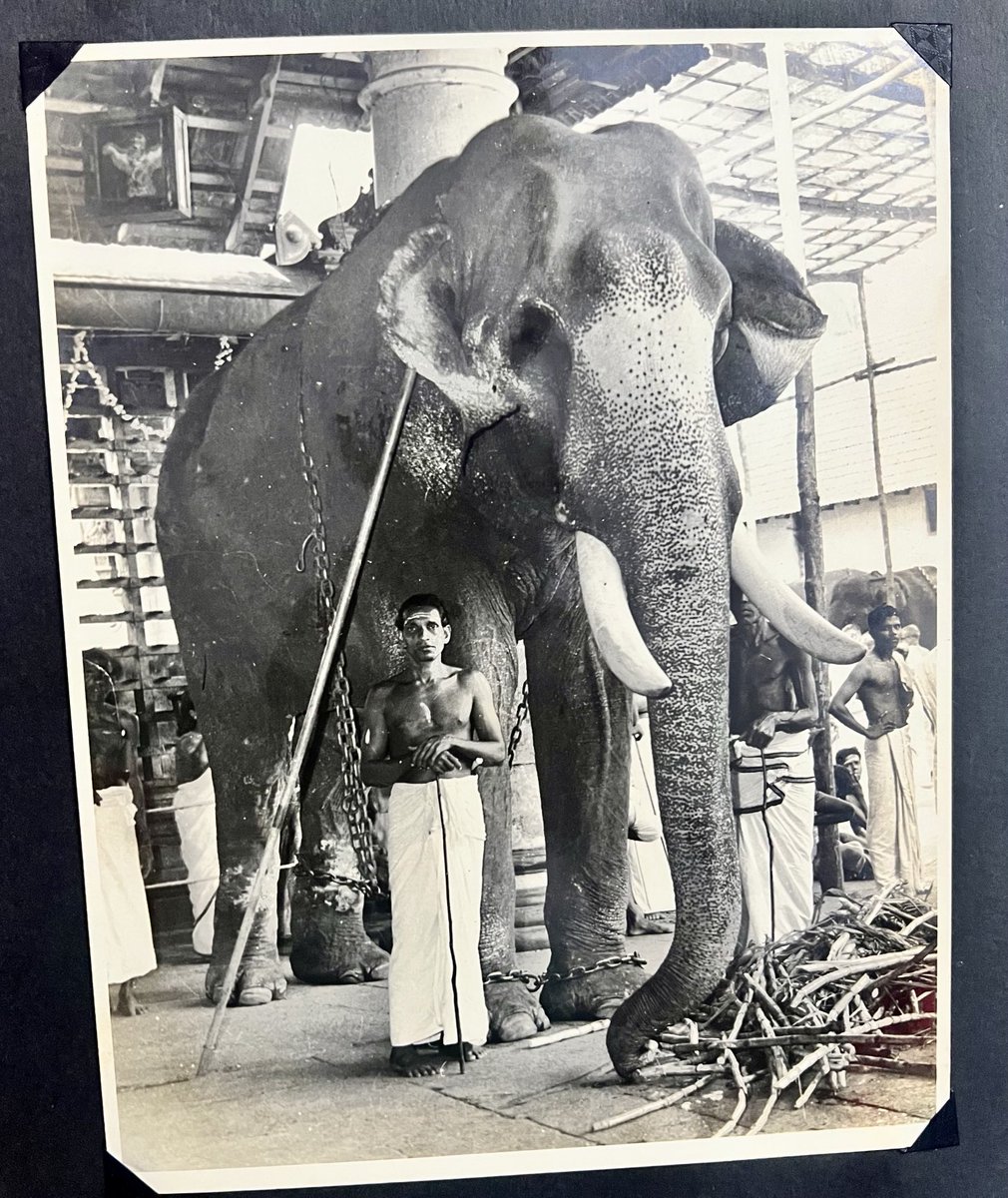 Narayanan Hariharan tweet media