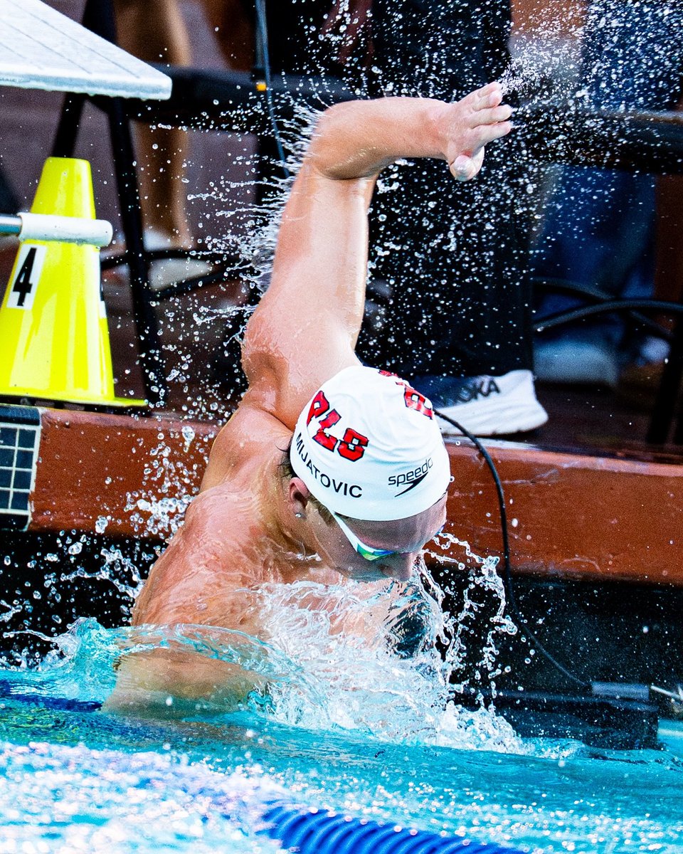 Swim Updates tweet media