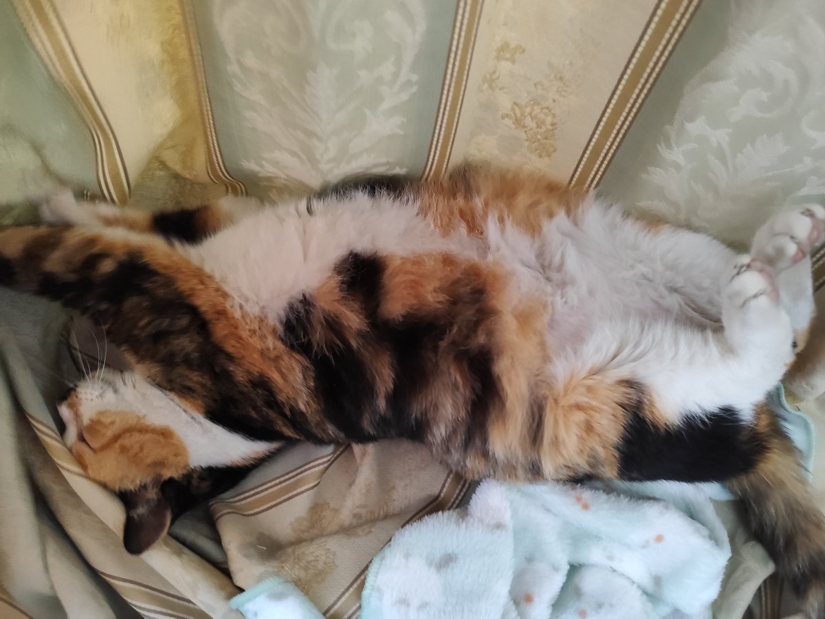 パリピア😻✨ (@NW6hX5NzGOqMVAw) / Posts / X